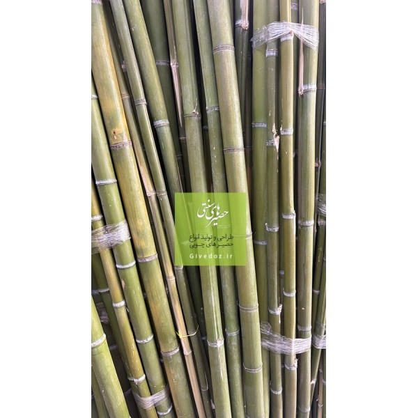 نی بامبو سبز طبیعی