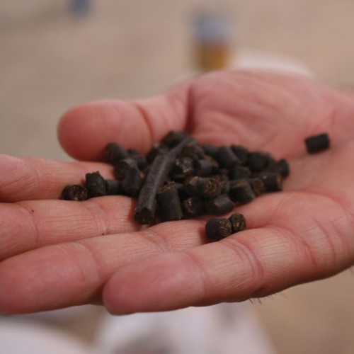 ورمی کمپوست غنی شده