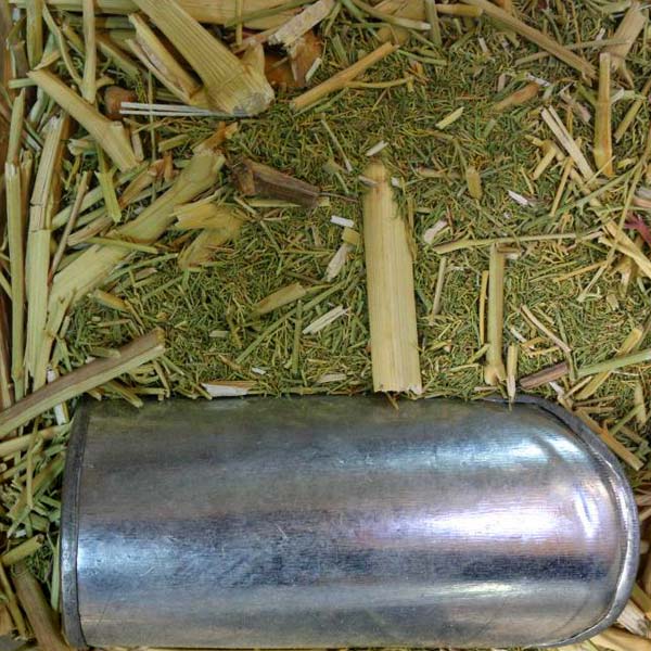 رنگرزی جاشیر